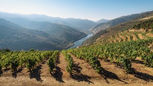The Douro river is flanked by hills with a winery in the foreground.