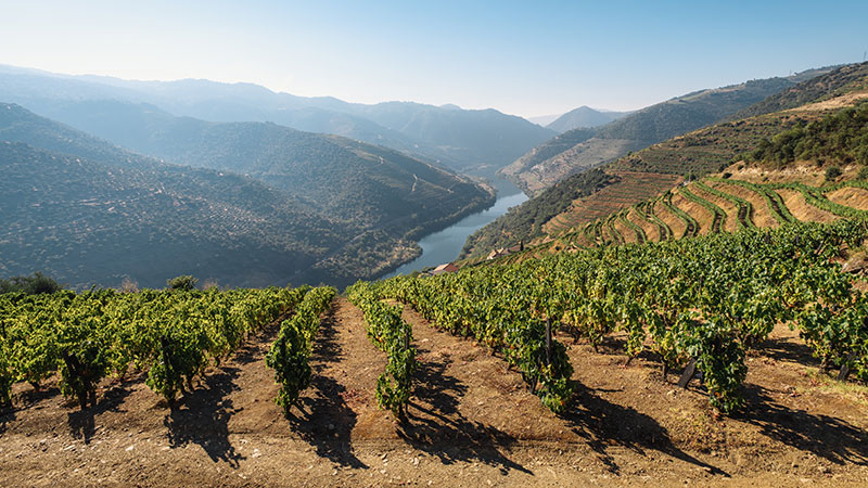 The Douro river is flanked by hills with a winery in the foreground.