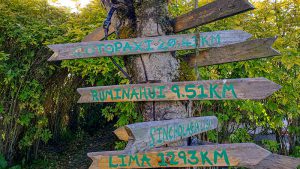 Handmade directional signs attached to a tree and pointing in various directions.