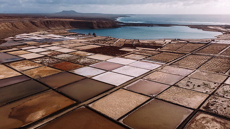 Brown square grid of salt flats with the sea in the background