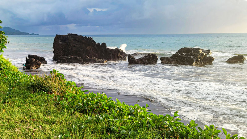 Green vegetation above a beach with white surf, black rocks and blue ocean.