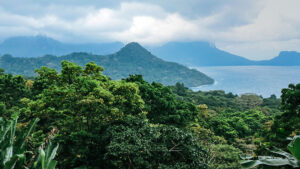 View of the water with tropical vegetation along the shore and hills across the water