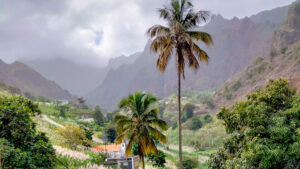 Palm trees in the foreground with misty jagged mountains in the background.