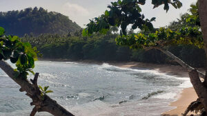 Beach of sand and surf, surrounded by tropical vegetation.